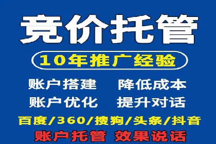 SEM运营策略案例分析